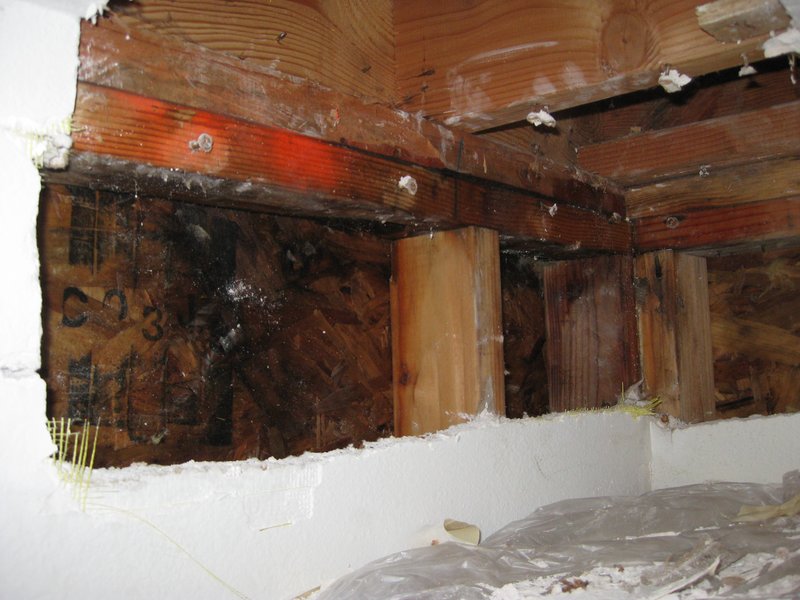 inspection 4.jpg :: Water intrusion from window flashing