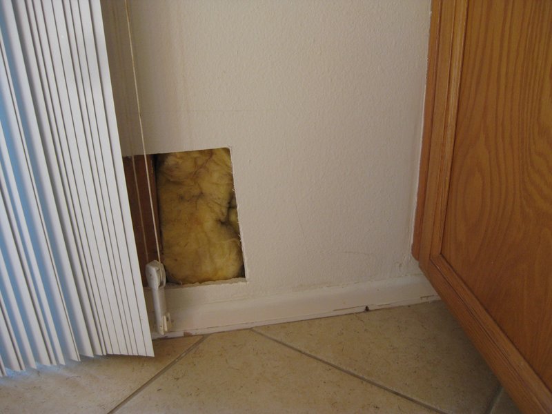 inspection 5.jpg :: Water intrusion from window flashing