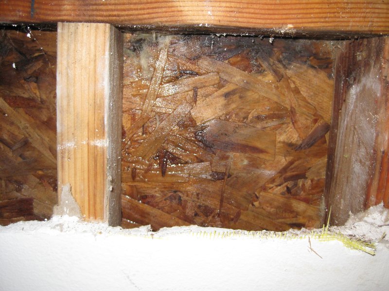 the leak 2.jpg :: Water intrusion from window flashing