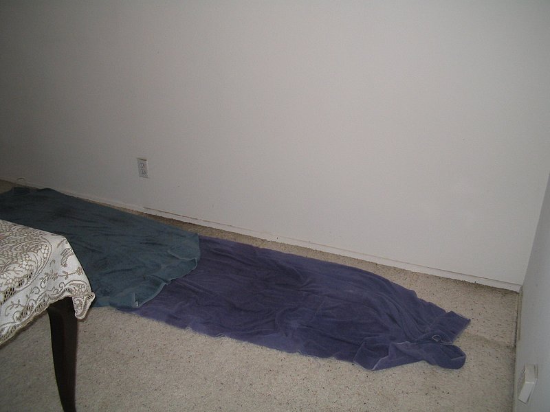 todds pictures 079.jpg :: Plumbing slab leak.