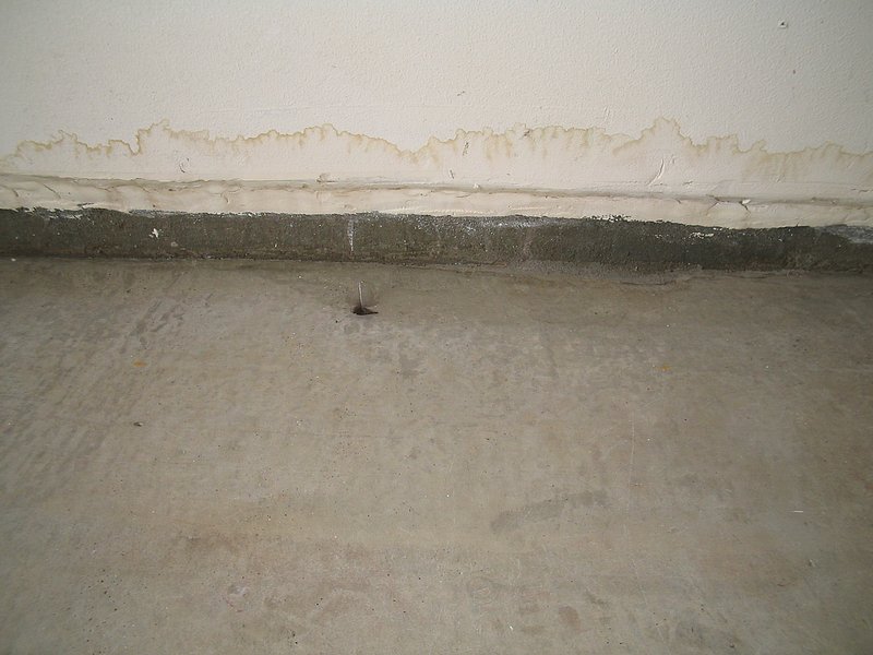 todds pictures 081.jpg :: Plumbing slab leak.