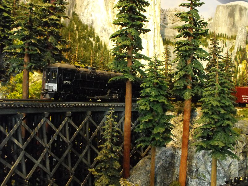DSCF11242.jpg