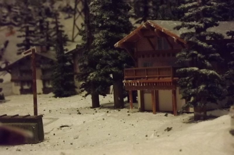 DSCF1520.jpg