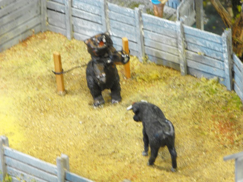 DSCF34821.jpg