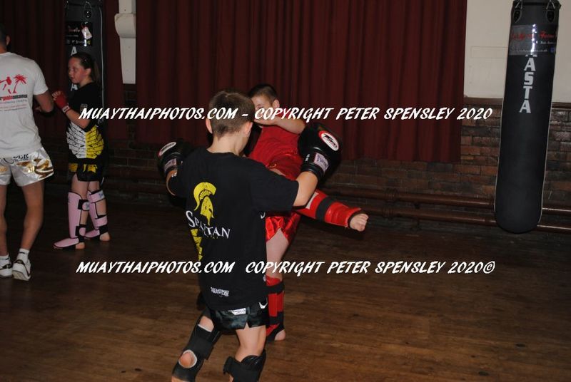 ZD023.jpg