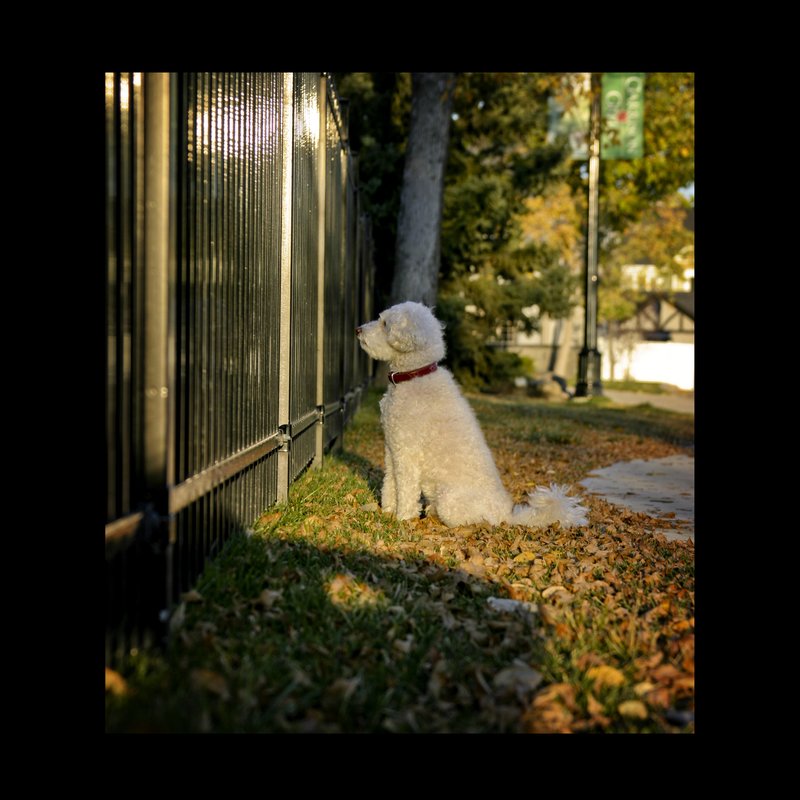 Quach099.jpg