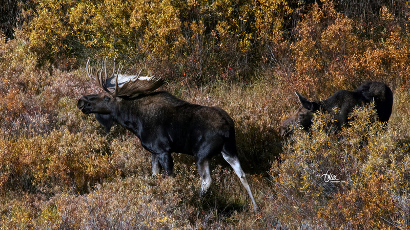 IMG_535001(1).jpg