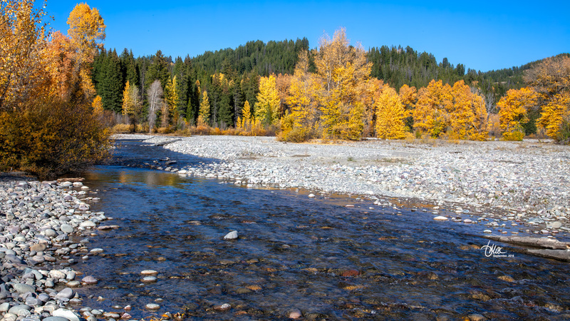 IMG_7676(1).jpg