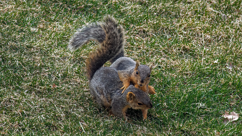 IMG_8088.jpg