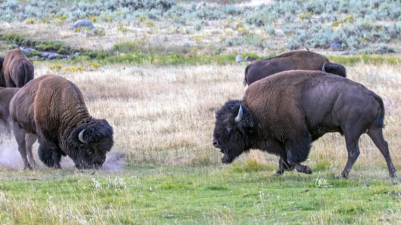 IMG_8839.jpg