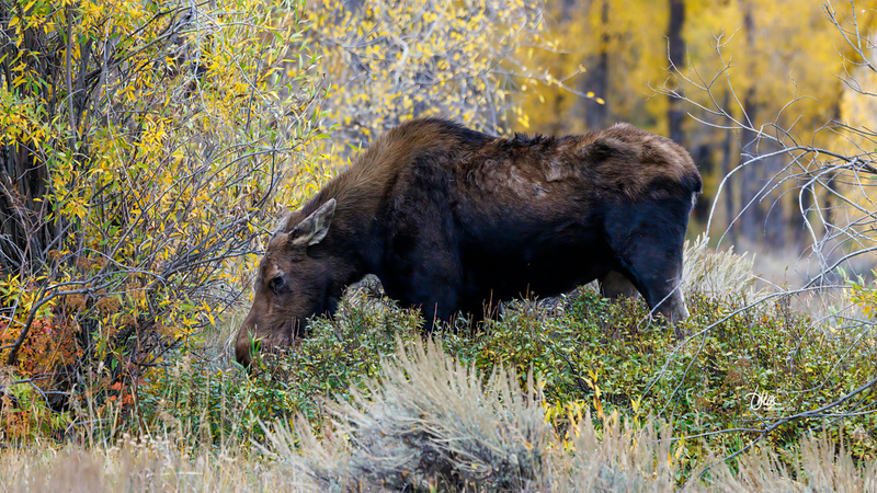 TMAC0407(1).jpg :: Upscaled with Gigapixel v1.0.2. 4843x2724 => 4843x2724 (1x) Model: RecoveryV2, detail: 0.38008846489719805