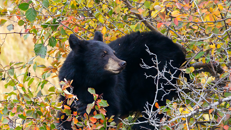 TMAC0525.jpg :: Upscaled with Gigapixel v1.0.2. 1973x1110 => 3156x1776 (1.6x) Model: RecoveryV2, detail: 0.01675337565138363