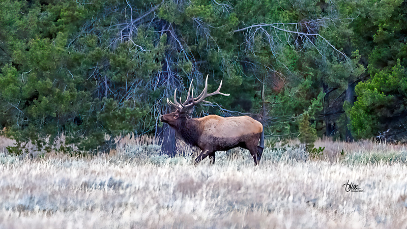 TMAC0926.jpg :: Upscaled with Gigapixel v1.0.2. 2910x1637 => 5238x2946 (1.8x) Model: RecoveryV2, detail: 0.016753375651383684