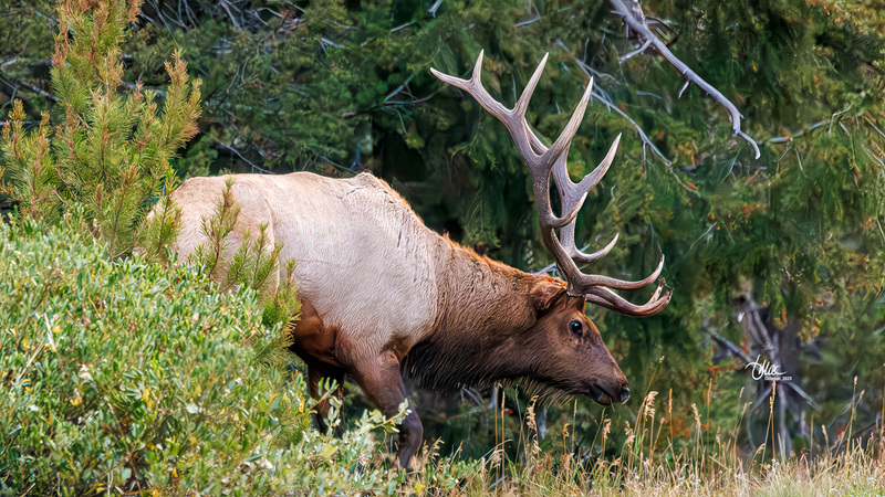 TMAC1272.jpg :: Upscaled with Gigapixel v1.0.4. 4790x2694 => 4790x2694 (1x) Model: RecoveryXL, denoise: 1, decompression: 0.01, sharpen: , sharpen: 0.01, sharpen: 2