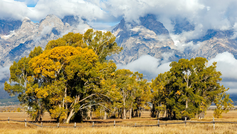 TMAC1384(1).jpg :: Upscaled with Gigapixel v8.4.3. 4585x2579 => 4585x2579 (1x) @ 300 ppi Model: RecoveryV2, detail: 0.38008846489719805