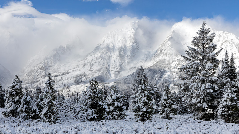 TMAC1461.jpg :: Upscaled with Gigapixel v8.4.3. 5116x2878 => 5116x2878 (1x) @ 300 ppi Model: RecoveryV2, detail: 0.38008846489719805