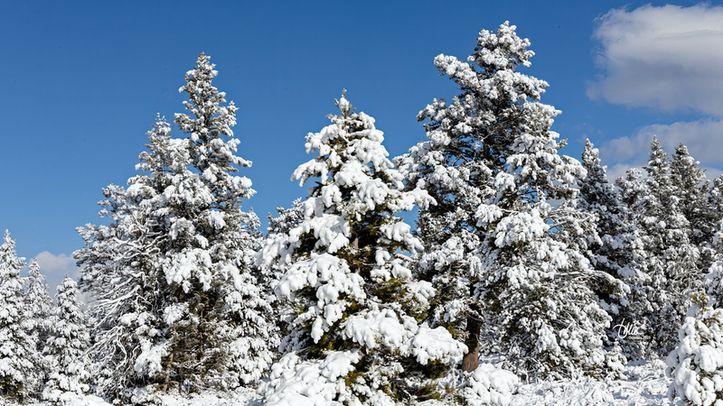 TMAC1472(1).jpg :: Upscaled with Gigapixel v8.4.3. 5467x3075 => 5467x3075 (1x) @ 300 ppi Model: RecoveryV2, detail: 0.38008846489719805