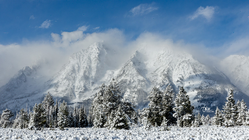 TMAC1475.jpg :: Upscaled with Gigapixel v8.4.3. 5210x2931 => 5210x2931 (1x) @ 300 ppi Model: RecoveryV2, detail: 0.38008846489719805