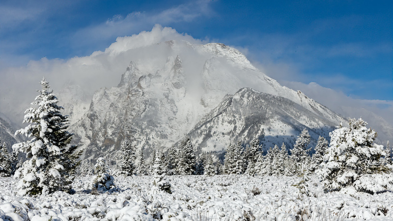 TMAC1477(1).jpg :: Upscaled with Gigapixel v8.4.3. 4856x2732 => 4856x2732 (1x) @ 300 ppi Model: RecoveryV2, detail: 0.38008846489719805