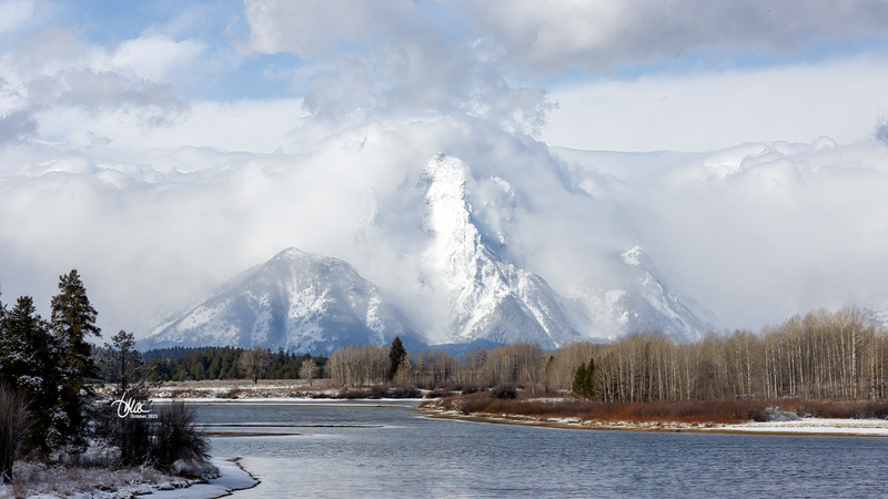 TMAC1481.jpg :: Upscaled with Gigapixel v8.4.3. 5444x3062 => 5444x3062 (1x) @ 300 ppi Model: RecoveryV2, detail: 0.38008846489719805