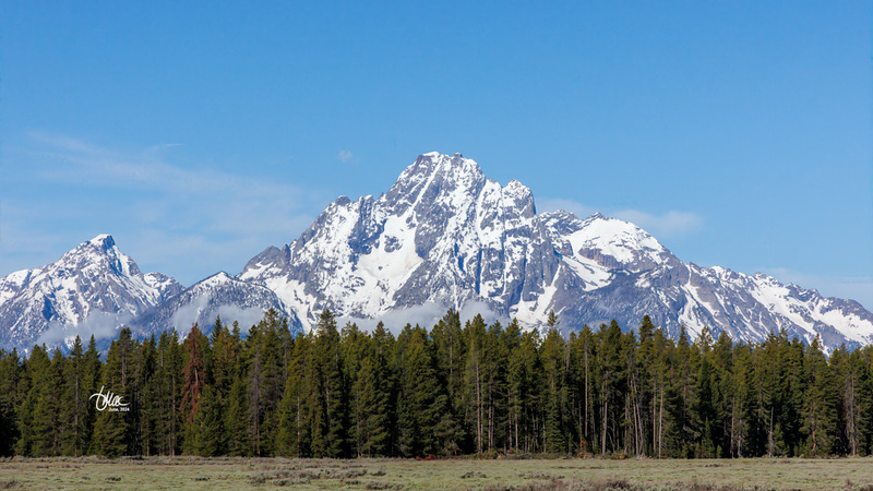 TMAC1509.jpg :: Upscaled with Gigapixel v8.4.3. 5376x3024 => 5376x3024 (1x) @ 300 ppi Model: RecoveryV2, detail: 0.38008846489719805