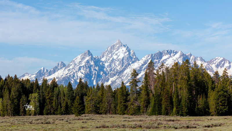 TMAC1511(1).jpg :: Upscaled with Gigapixel v1.0.0. 4746x2670 => 4746x2670 (1x) @ 300 ppi Model: RecoveryV2, detail: 0.38008846489719805