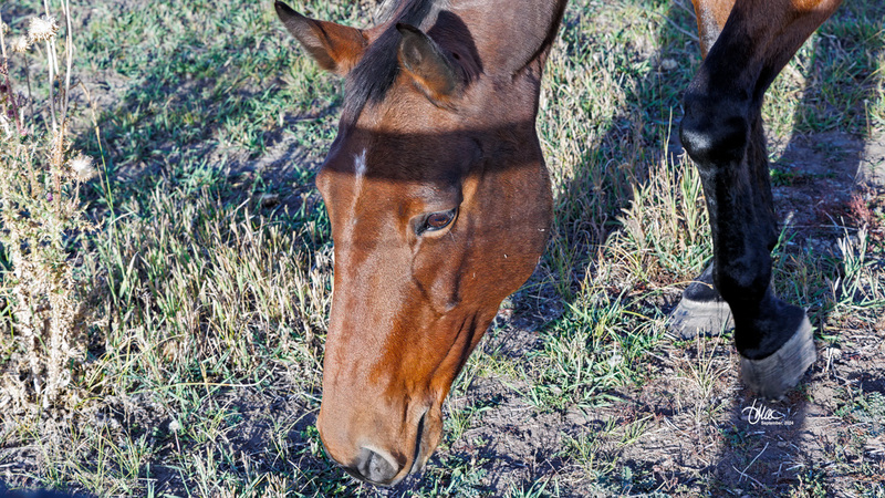 TMAC1569.jpg