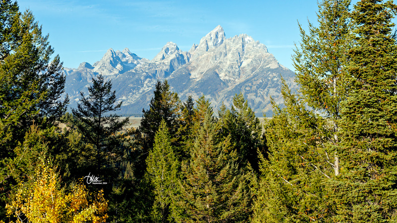 TMAC1582(1).jpg :: Upscaled with Gigapixel v1.0.0. 4657x2620 => 4657x2620 (1x) @ 300 ppi Model: RecoveryV2, detail: 0.38008846489719805