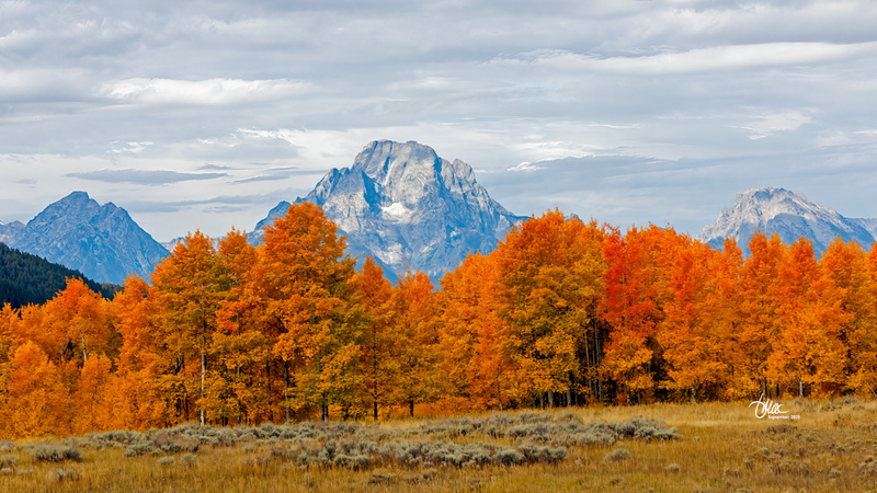 TMAC1605.jpg :: Upscaled with Gigapixel v1.0.2. 5067x2850 => 6587x3705 (1.3x) @ 300 ppi Model: RecoveryV2, detail: 0.38008846489719805