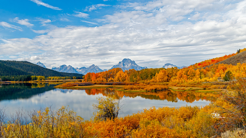 TMAC1608.jpg :: Upscaled with Gigapixel v1.0.2. 4451x2504 => 5786x3255 (1.3x) @ 300 ppi Model: RecoveryV2, detail: 0.38008846489719805