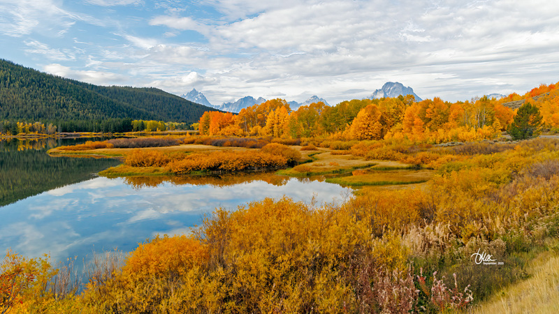 TMAC1619.jpg :: Upscaled with Gigapixel v1.0.2. 5468x3076 => 7108x3998 (1.3x) @ 300 ppi Model: RecoveryV2, detail: 0.38008846489719805