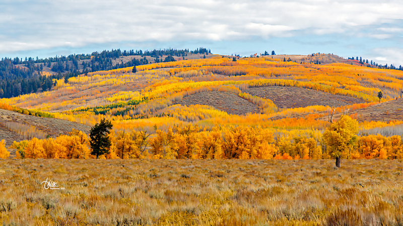 TMAC1661.jpg :: Upscaled with Gigapixel v1.0.2. 4108x2311 => 4108x2311 (1x) Model: RecoveryV2, detail: 0.38008846489719805