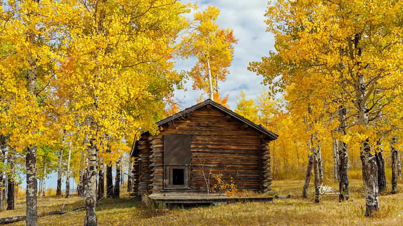 TMAC1674.jpg :: Upscaled with Gigapixel v1.0.2. 5240x2948 => 5240x2948 (1x) Model: RecoveryV2, detail: 0.38008846489719805