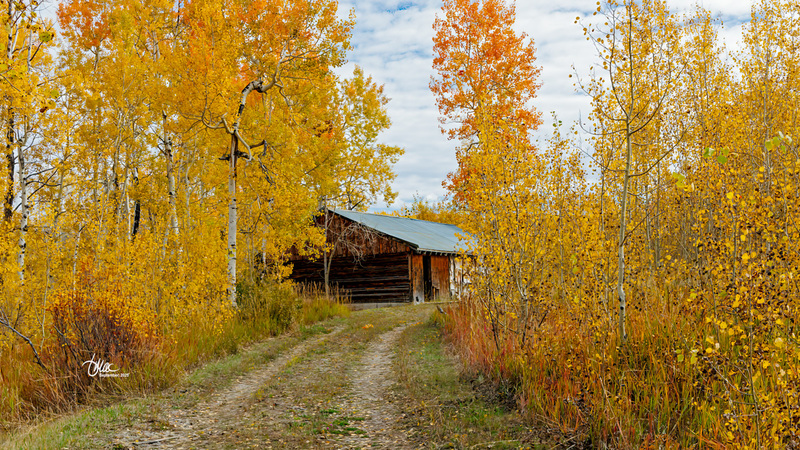 TMAC1683.jpg :: Upscaled with Gigapixel v1.0.2. 4968x2795 => 4968x2795 (1x) Model: RecoveryV2, detail: 0.38008846489719805