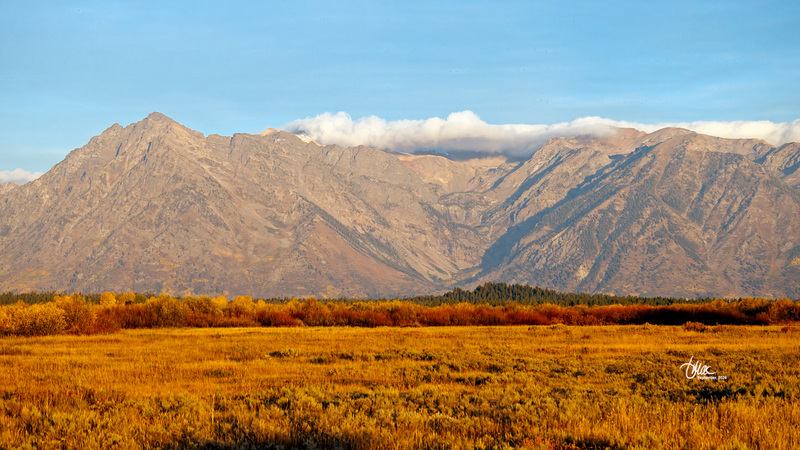 TMAC1684.jpg :: Upscaled with Gigapixel v1.0.0. 7644x4300 => 7644x4300 (1x) @ 300 ppi Model: RecoveryV2, detail: 0.38008846489719805