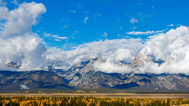 TMAC1685(1).jpg :: Upscaled with Gigapixel v1.0.2. 4599x2587 => 4599x2587 (1x) Model: RecoveryV2, detail: 0.01