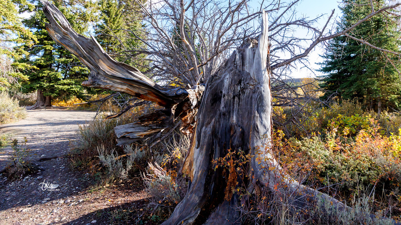 TMAC1696.jpg :: Upscaled with Gigapixel v1.0.2. 5170x2908 => 5170x2908 (1x) Model: RecoveryV2, detail: 0.01