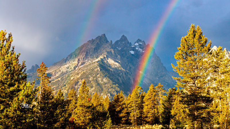 TMAC1734(2).jpg :: Upscaled with Gigapixel v1.0.2. 5472x3078 => 5472x3078 (1x) Model: CGI, denoise: 0.35313265365722657, sharpen: 0.3217267783007813