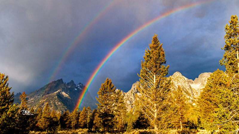 TMAC1738(2).jpg :: Upscaled with Gigapixel v1.0.2. 5472x3078 => 5472x3078 (1x) Model: CGI, denoise: 0.34654085678222657, sharpen: 0.3993634970507813