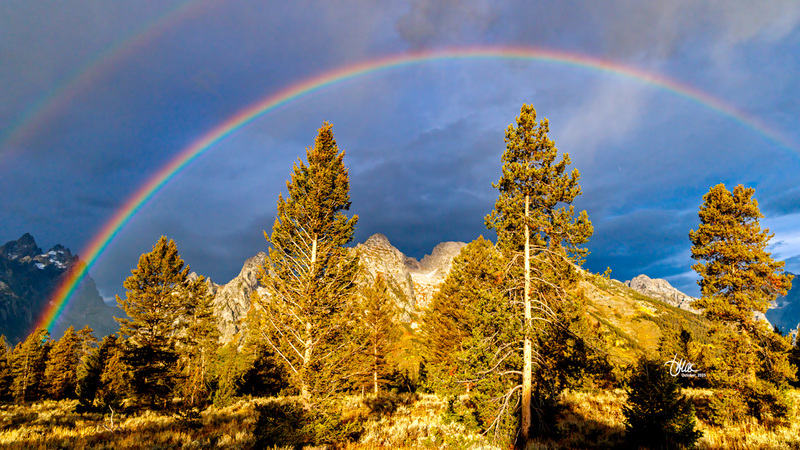 TMAC1739.jpg :: Upscaled with Gigapixel v1.0.2. 5472x3078 => 5472x3078 (1x) Model: CGI, denoise: 0.37168734115722657, sharpen: 0.3554181845507813