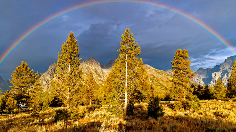 TMAC1742.jpg :: Upscaled with Gigapixel v1.0.2. 5329x2998 => 5329x2998 (1x) Model: CGI, denoise: 0.34019320053222657, sharpen: 0.4328107626757813