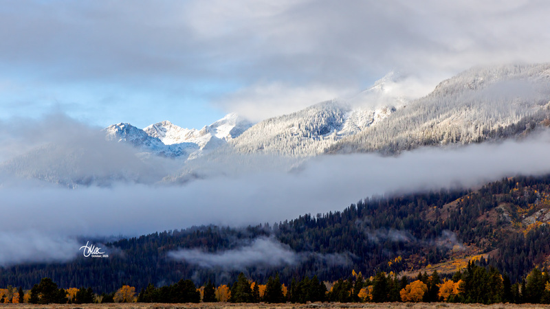 TMAC1744(1).jpg :: Upscaled with Gigapixel v1.0.2. 5307x2985 => 5307x2985 (1x) Model: CGI, denoise: 0.41831820053222657, sharpen: 0.5993146689257812