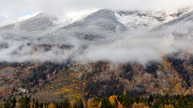 TMAC1745.jpg :: Upscaled with Gigapixel v1.0.2. 5451x3066 => 5451x3066 (1x) Model: Low Resolution V2, denoise: 0.49142348632812505, sharpen: 0.48468174412743514, decompression: 0.2