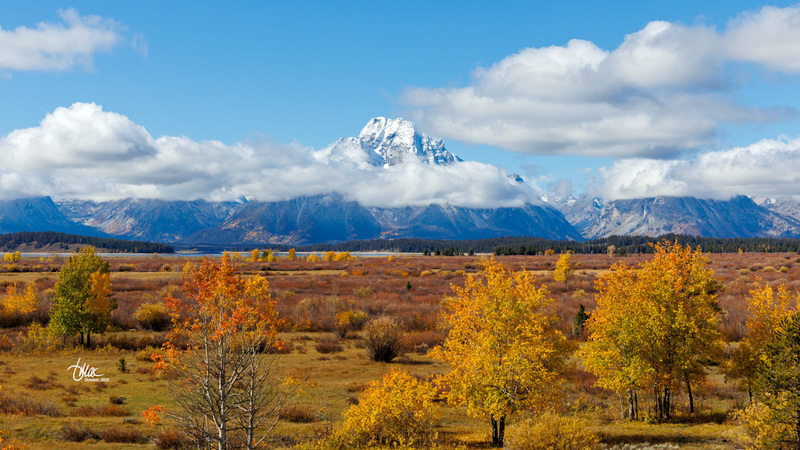 TMAC1756.jpg :: Upscaled with Gigapixel v1.0.2. 5433x3056 => 5433x3056 (1x) Model: CGI, denoise: 0.7515701536572266, sharpen: 0.7887677939257812