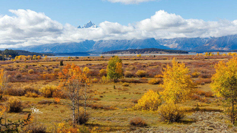 TMAC1758(2).jpg :: Upscaled with Gigapixel v1.0.2. 5472x3078 => 5472x3078 (1x) Model: CGI, denoise: 0.32700960678222657, sharpen: 0.3046369345507813