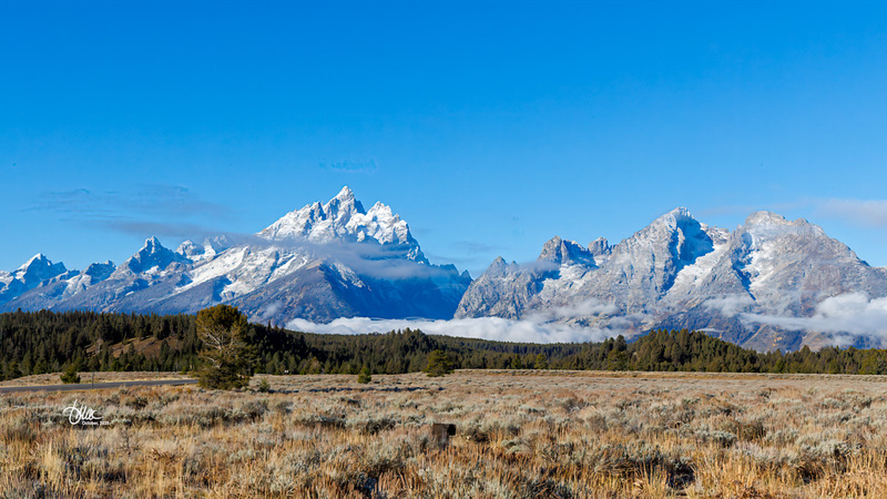 TMAC1759.jpg :: Upscaled with Gigapixel v1.0.2. 4758x2676 => 4758x2676 (1x) Model: RecoveryV2, detail: 0.016078038086245305