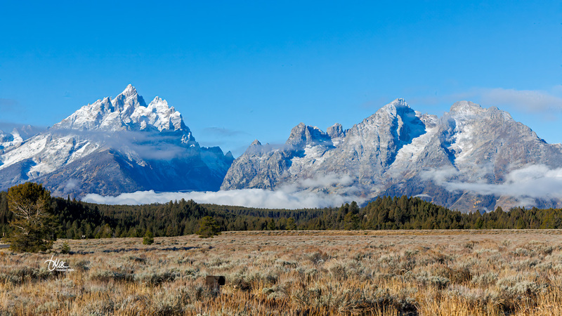 TMAC1763(1).jpg :: Upscaled with Gigapixel v1.0.2. 5107x2873 => 5107x2873 (1x) Model: RecoveryV2, detail: 0.016078038086245305