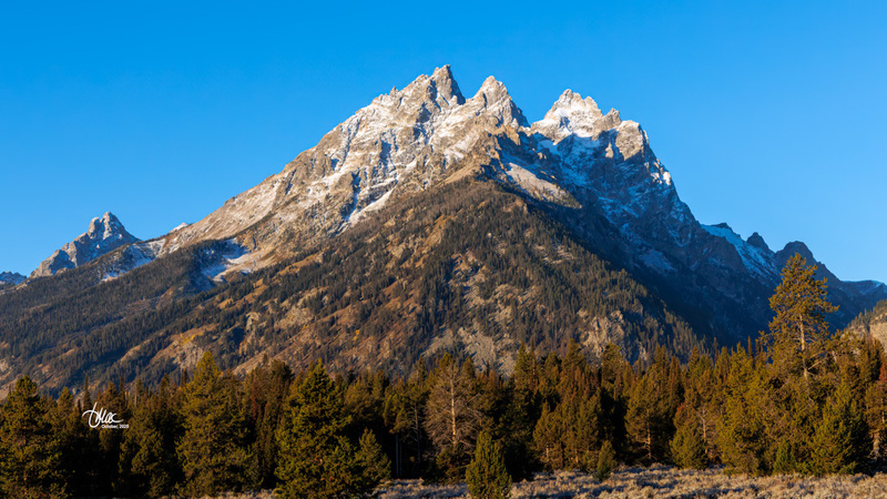 TMAC1767.jpg :: Upscaled with Gigapixel v1.0.2. 5460x3071 => 5460x3071 (1x) Model: Standard V2, denoise: 0.33164827865722657, sharpen: 0.3788556845507813, decompression: 0.0461