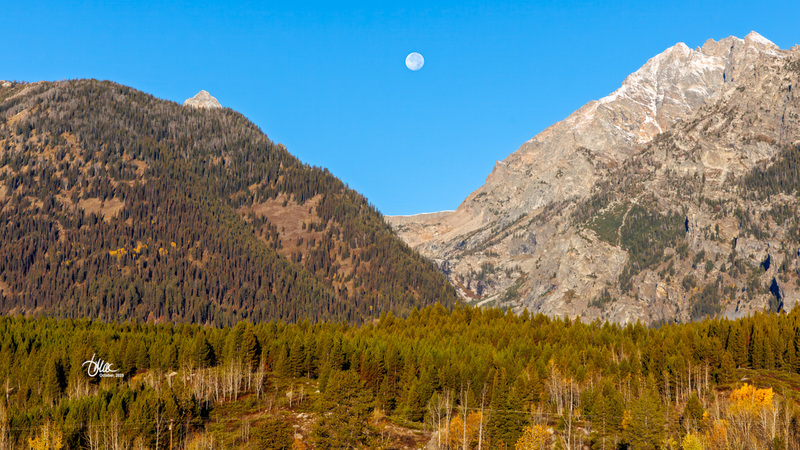 TMAC1773(1).jpg :: Upscaled with Gigapixel v1.0.2. 5126x2883 => 9226x5189 (1.8x) Model: Low Resolution V2, denoise: 0.33482210678222657, sharpen: 0.4823713095507813, decompression: 0.0461