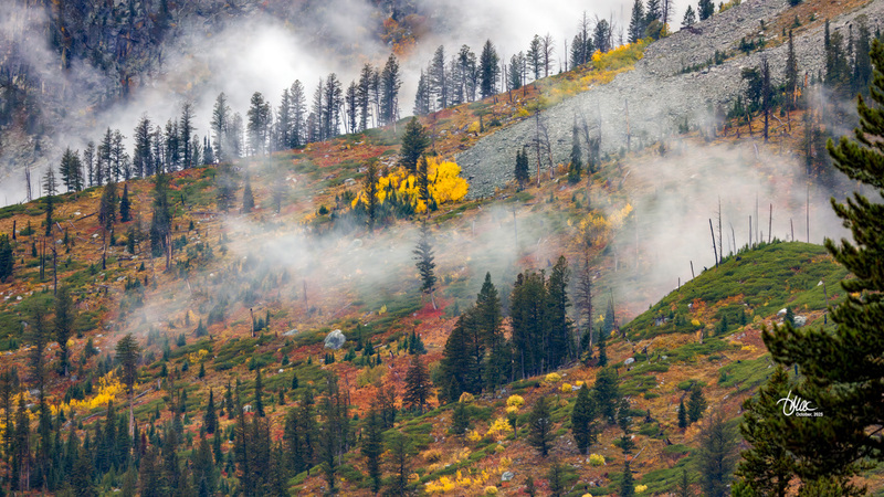 TMAC1783(1).jpg :: Upscaled with Gigapixel v1.0.2. 8192x4608 => 16384x9216 (2x) Model: Low Resolution V2, denoise: 0.41978304428222657, sharpen: 0.3556623251757813, decompression: 0.2